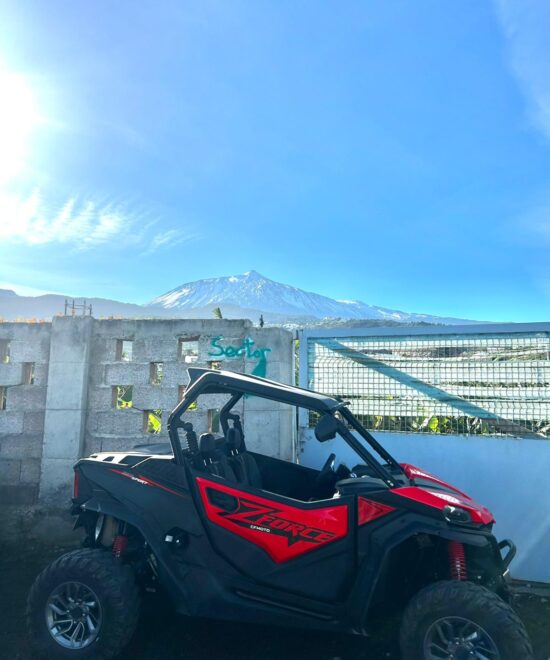 Buggy Tour Icod