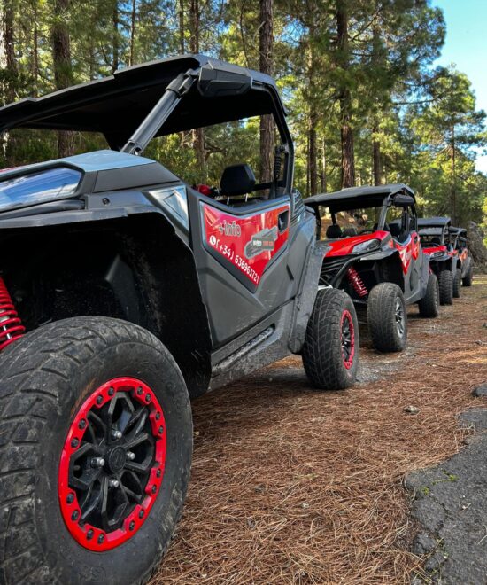 Buggy Tour Icod